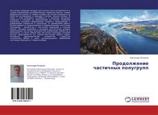 Copertina di Продолжение частичных полугрупп