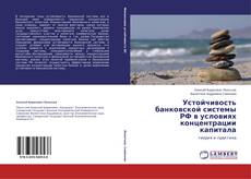 Copertina di Устойчивость банковской системы РФ в условиях концентрации капитала