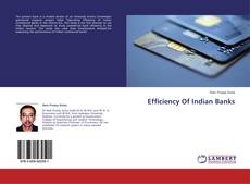 Copertina di Efficiency Of Indian Banks