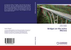 Buchcover von Bridges on the Južna Morava