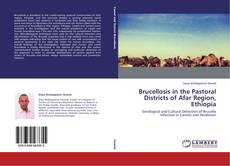 Brucellosis in the Pastoral Districts of Afar Region, Ethiopia kitap kapağı