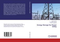Borítókép a  Energy Storage for Power Utility - hoz