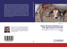 Capa do livro de State-Society Relations on the Agricultural Frontier 