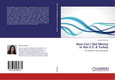 Capa do livro de How Can I Get Money in the U.S. & Turkey 