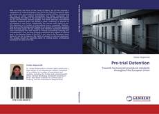 Couverture de Pre-trial Detention