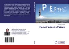 Capa do livro de Малый бизнес в России 