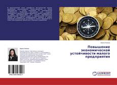 Copertina di Повышение экономической устойчивости малого предприятия