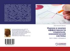 Оценка и анализ эффективности социально-экономической системы的封面