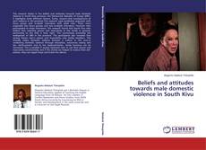 Couverture de Beliefs and attitudes towards male domestic violence in South Kivu