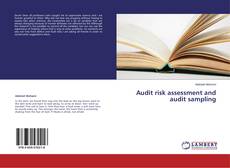 Capa do livro de Audit Risk Assessment and Audit Sampling 