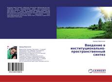 Copertina di Введение в институционально-пространственный синтез