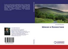 Buchcover von Шакал в Казахстане