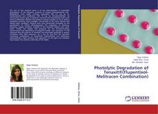 Copertina di Photolytic Degradation of Tenaxit®(Flupentixol-Melitracen Combination)