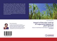 Capa do livro de Impact of bio-char and tar of sugarcane bagasse in plant growth 