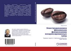 Электродинамика феноменов физикохимии конденсированных сред的封面
