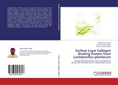 Copertina di Surface Layer Collagen Binding Protein from Lactobacillus plantarum