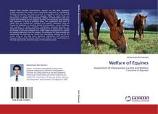 Copertina di Welfare of Equines