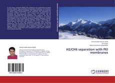 Buchcover von H2/CH4 separation with PEI membranes