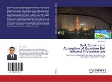 Copertina di Dark Current and Absorption of Quantum Dot Infrared Photodetectors