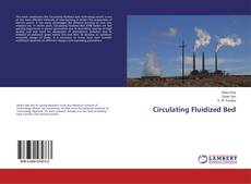 Circulating Fluidized Bed的封面