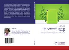 Copertina di Fast Pyrolysis of Sewage Sludge