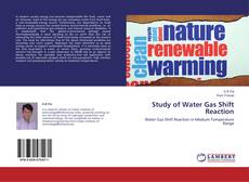 Couverture de Study of Water Gas Shift Reaction