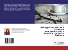 Обложка Венчурный капитал в развитии международного малого и среднего бизнеса