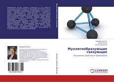 Couverture de Муллитообразующие связующие