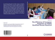 Copertina di The Efficiency of European Programs on Highly Qualified Human Resource