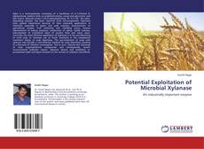 Potential Exploitation of Microbial Xylanase的封面