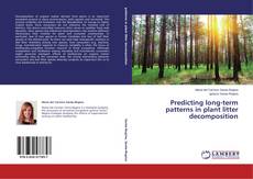 Buchcover von Predicting long-term patterns in plant litter decomposition