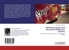 Buchcover von Minimum wage and Domestic Workers in Zambia
