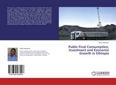 Copertina di Public Final Consumption, Investment and Economic Growth in Ethiopia