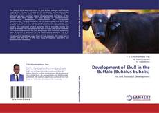 Development of Skull in the Buffalo (Bubalus bubalis)的封面