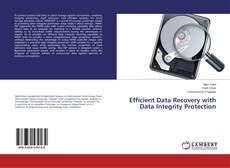 Portada del libro de Efficient Data Recovery with Data Integrity Protection