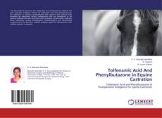 Copertina di Tolfenamic Acid And Phenylbutazone In Equine Castration
