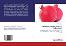 Buchcover von Pomegranate Processing Technology