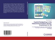 Copertina di Capital Budgeting in the Telecommunication Sector: Investment in 3G