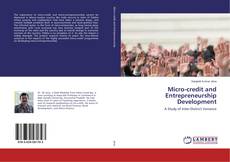 Copertina di Micro-credit and Entrepreneurship Development