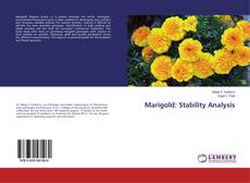 Buchcover von Marigold: Stability Analysis