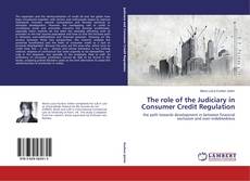 The role of the Judiciary in Consumer Credit Regulation的封面