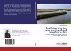 Copertina di Smallholder irrigation, water security and rural household welfare