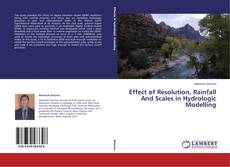 Buchcover von Effect of Resolution, Rainfall And Scales in Hydrologic Modelling