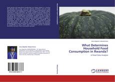 Copertina di What Determines Household Food Consumption in Rwanda?