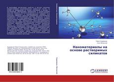 Наноматериалы на основе растворимых силикатов的封面