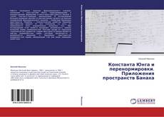 Buchcover von Константа Юнга и перенормировки. Приложения пространств Банаха