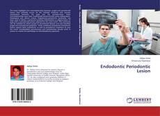 Buchcover von Endodontic Periodontic Lesion