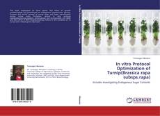 Buchcover von In vitro Protocol Optimization of Turnip(Brassica rapa subsps.rapa)