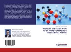 Buchcover von Protease Extraction from Horse Mango (Mangifera foetida Lour) Kernels