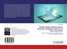 Capa do livro de Public Debt and Economic Growth: Evidence from Euro Area countries 